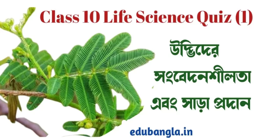 Class 10 Life Science Quiz 1