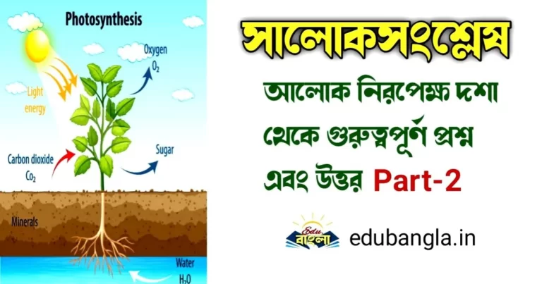 Photosynthesis: Light Independent Phase