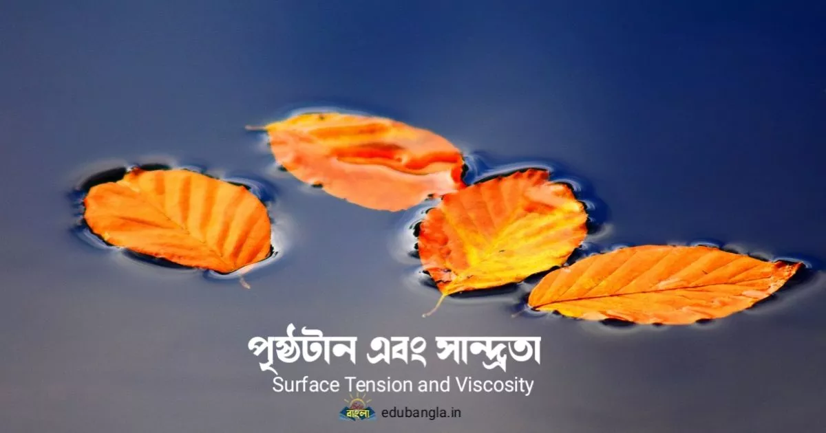 Surface Tension and Viscosity