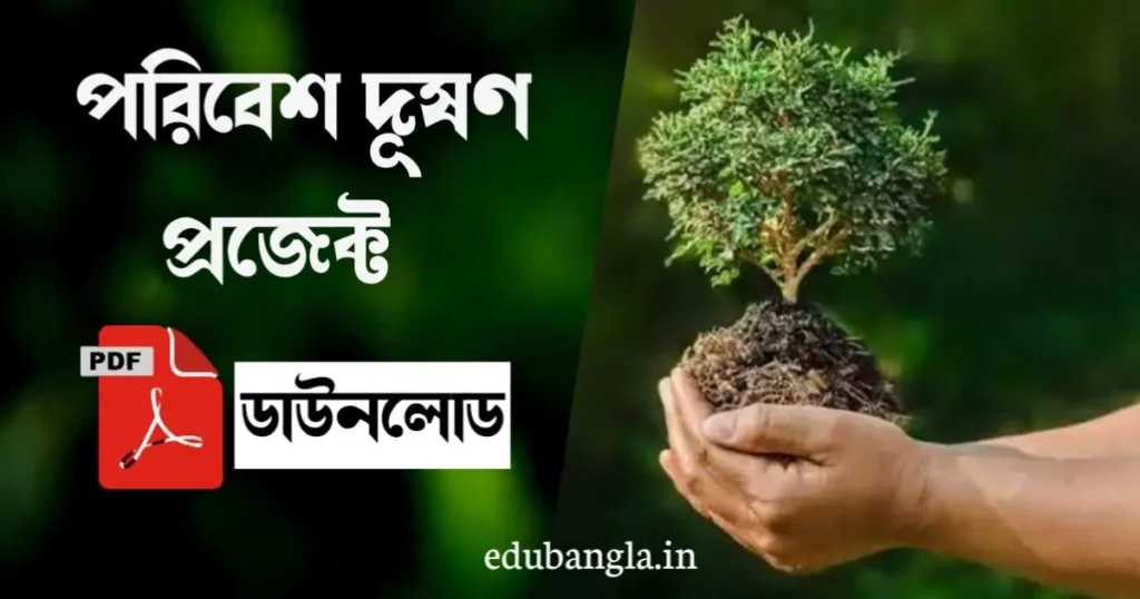 পরিবেশ দূষণ প্রজেক্ট pdf