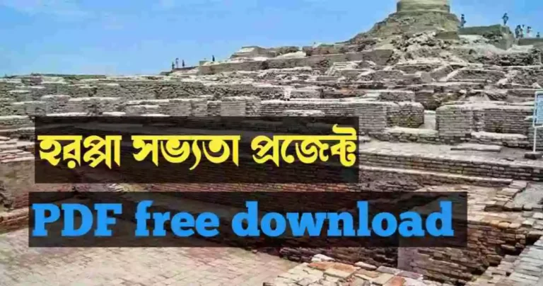 Harappan Civilization Project pdf