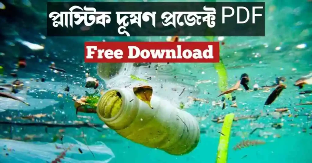 Plastic Pollution Project PDF