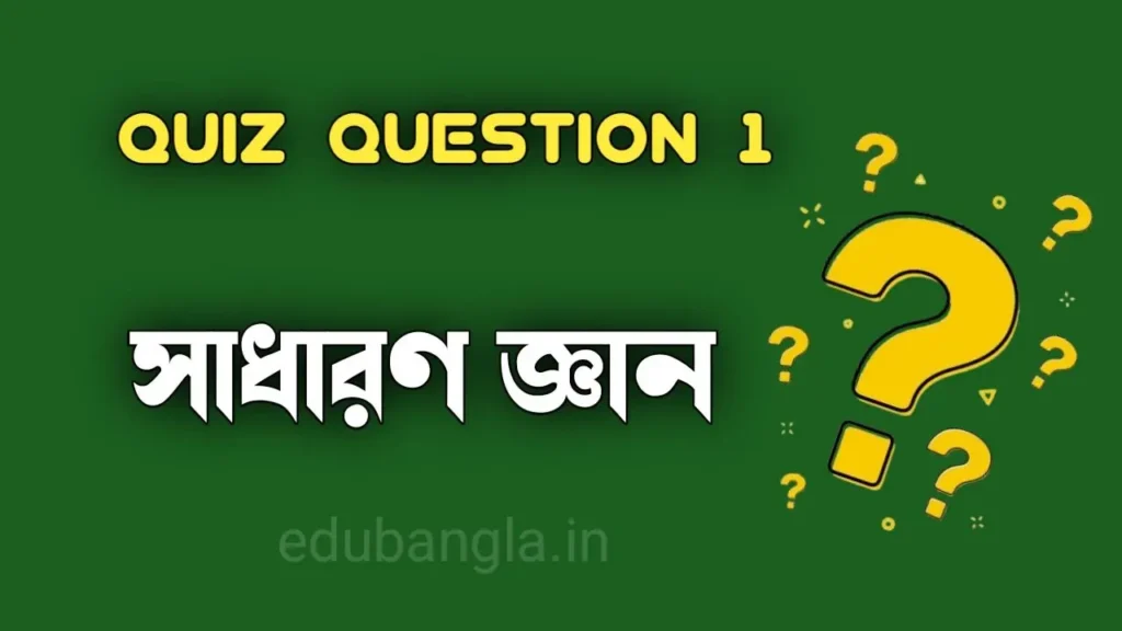 Quiz Questions