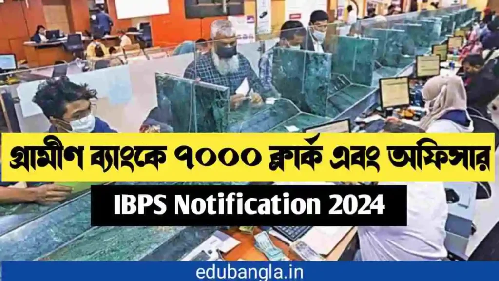 IBPS Notification 2024