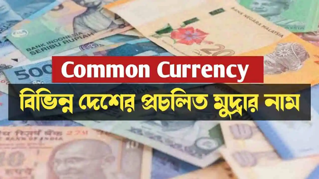 Common Currency