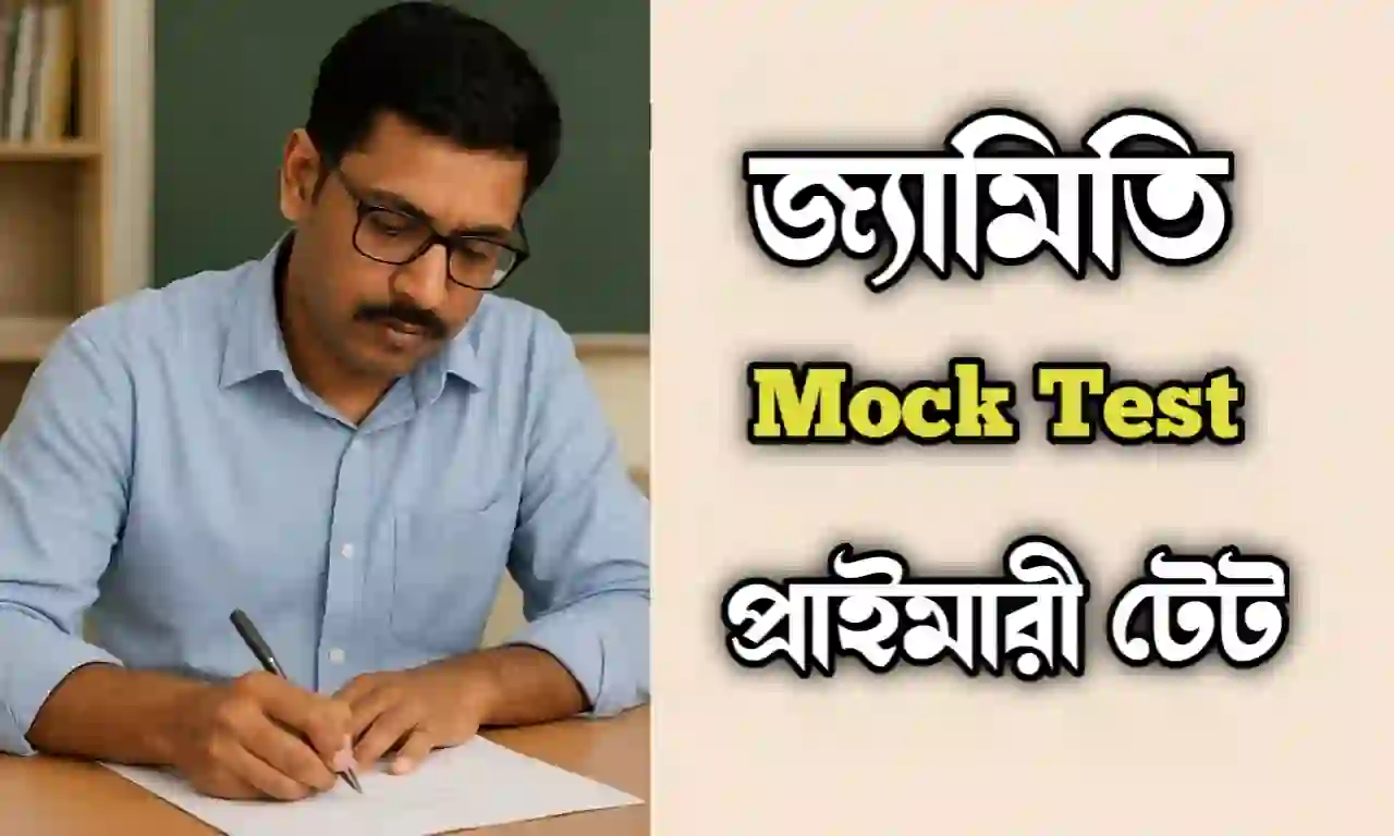 Geometry mock test for primary TET