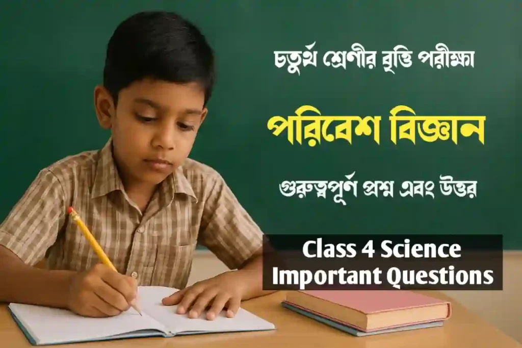 Class 4 Science Important Questions