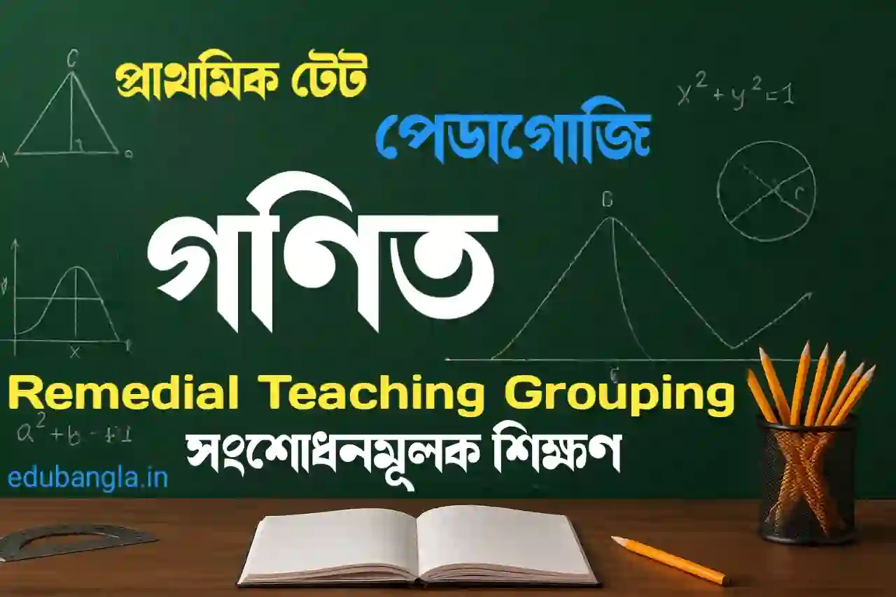 primary tet math pedagogy remedial teaching grouping