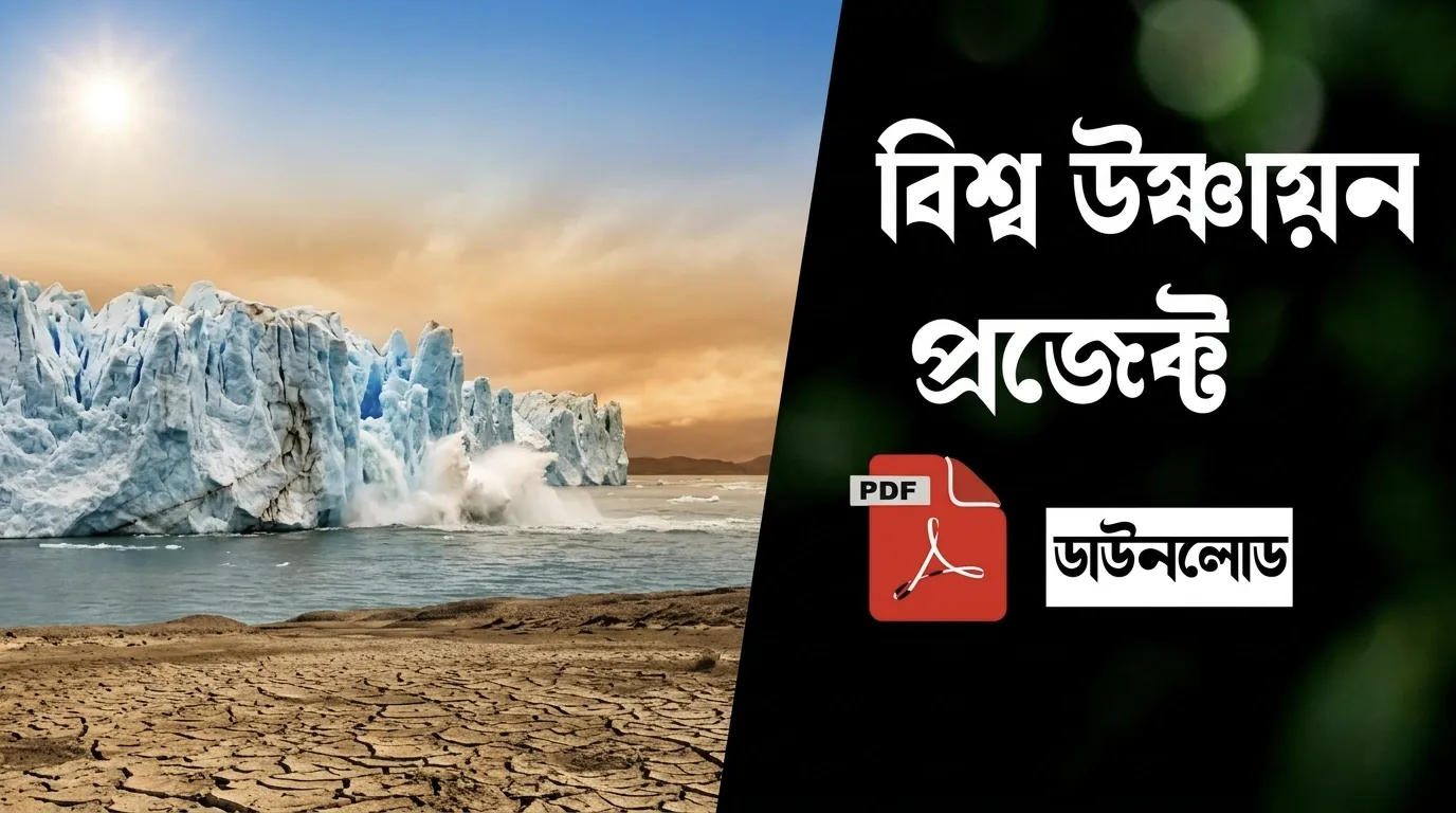 বিশ্ব উষ্ণায়ন প্রজেক্ট PDF