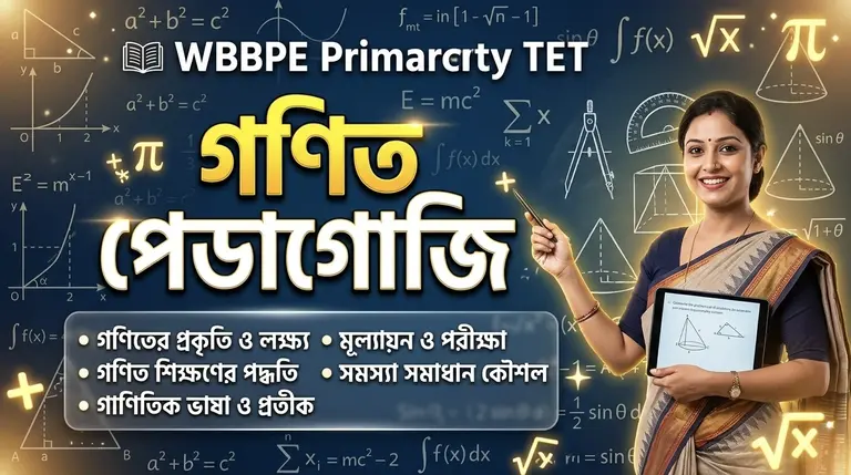 Primary TET Math Pedagogy: Nature of Mathematics 